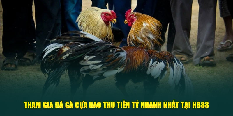 Đá gà cựa dao online: Đặt cược thả ga, nhận thưởng lớn!